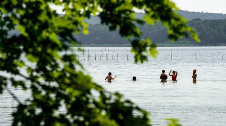 Badegäste erfrischen sich bei strahlendem Sonnenschein im Großen Müggelsee.