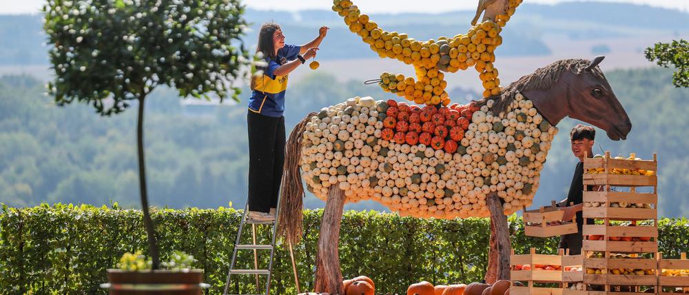 Im Schlosspark Lichtenwalde beginnt ein ungewöhnliches Festival.