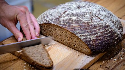 Besuch in der Backstube der Demeter-Großbäckerei Märkisches Landbrot in Neukölln. Täglich außer Sonntag werden 29 verschiedene Gebäcksorten gebacken, vor allem Roggenbrote, aber auch Brötchen und Weizenbrote. Das Getreide stammt fast ausschließlich von Demeter-Höfen in Brandenburg. Traditionell wird dort vor allem Roggen angebaut. Aufgenommen am 28.8.25