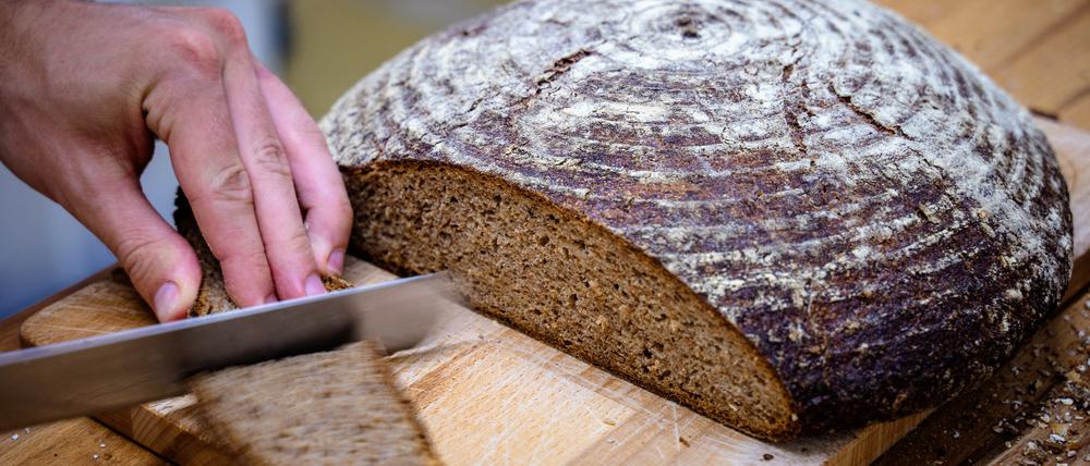 Besuch in der Backstube der Demeter-Großbäckerei Märkisches Landbrot in Neukölln. Täglich außer Sonntag werden 29 verschiedene Gebäcksorten gebacken, vor allem Roggenbrote, aber auch Brötchen und Weizenbrote. Das Getreide stammt fast ausschließlich von Demeter-Höfen in Brandenburg. Traditionell wird dort vor allem Roggen angebaut. Aufgenommen am 28.8.25