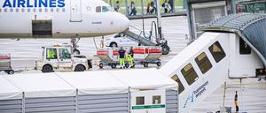 Die schwarz-rote Bundesregierung hatte das Aufnahmeprogramm für besonders gefährdete Afghaninnen und Afghanen im Mai gestoppt.