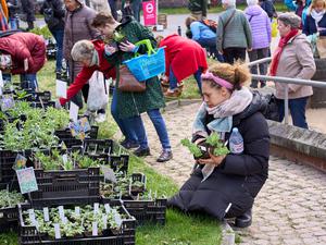 Der Berliner Staudenmarkt findet am 6. und 7. September 2025 wieder im Botanischen Garten in Dahlem statt.