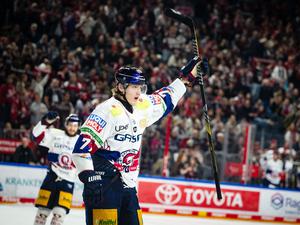 Jubelnde Eisbären wie Eric Hördler sind attraktiv. Das wollen viele miterleben.