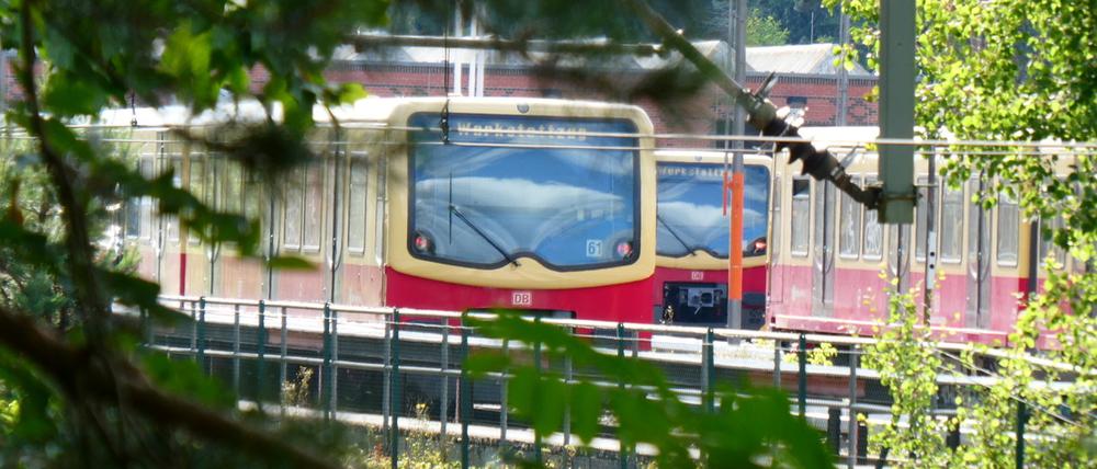 Das S-Bahnwerk in Berlin Wannsee. Hier wird rund um die Uhr an sieben Tagen die Woche gearbeitet. Auch nachts. Wenn die Züge in die Werkhalle fahren, muss zur Sicherheit gehupt werden. Das schreckt Anwohner aus dem Schlaf.