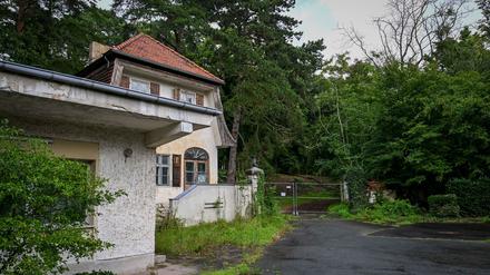 Die alte Siemens-Villa soll zwangsversteigert werden. (Archivbild)