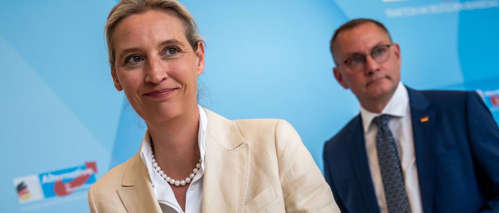 „An der AfD wird man nicht mehr vorbeiregieren können“, meint Alice Weidel. (Archivfoto)