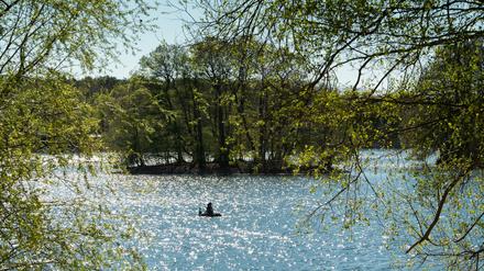 Der See liegt zur Hälfte in Brandenburg und zur Hälfte in Berlin (Archivbild). 