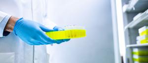 Von dem Ausbruch in Mecklenburg-Vorpommern sind auch Familien aus anderen Bundesländern betroffen, die ihre Ferien im Nordosten verbrachten (Archivbild).