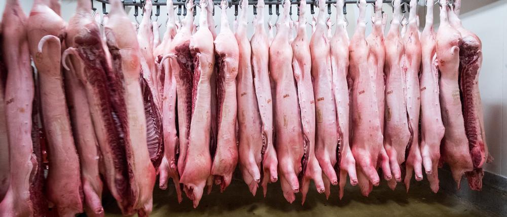 China erschwert mit Zöllen den Import von Schweinefleisch aus der EU. (Symbolbild)