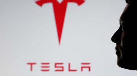 Musk beschreibt Teslas Wachstumspotenzial als nahezu grenzenlos