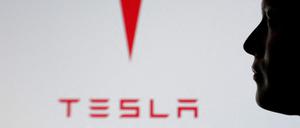 Musk beschreibt Teslas Wachstumspotenzial als nahezu grenzenlos