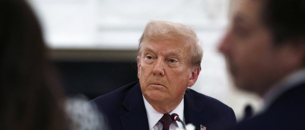 Will, dass Europa selbst für seine Verteidigung bezahlt: US-Präsident Donald Trump