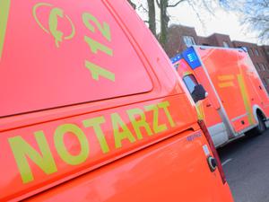 Ein Notarzt-Fahrzeug und ein Rettungswagen stehen an einer Einsatzstelle. (Symbolbild)