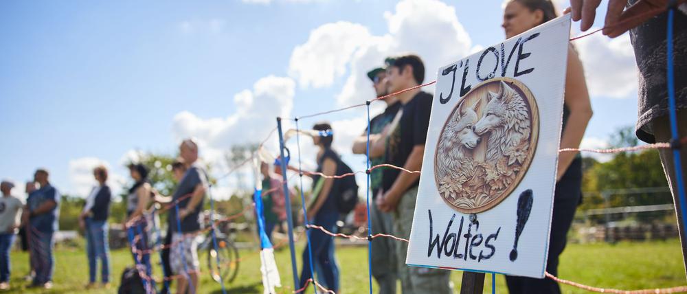 Es geht um den Wolf: Protest gegen die Wolfsjagd (hier am Sonntag im Berliner Regierungsviertel).