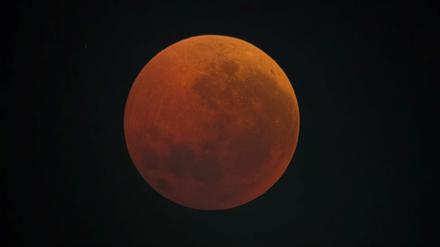 Die Aufnahme eines Lesers aus Berlin-Moabit zeigt den Blutmond klar und deutlich.