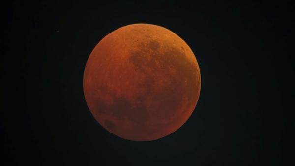 Die Aufnahme eines Lesers aus Berlin-Moabit zeigt den Blutmond klar und deutlich.