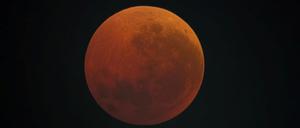 Die Aufnahme eines Lesers aus Berlin-Moabit zeigt den Blutmond klar und deutlich.