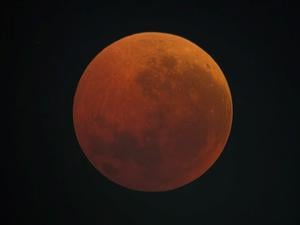 Die Aufnahme eines Lesers aus Berlin-Moabit zeigt den Blutmond klar und deutlich.