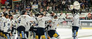 Seit dem Aufstieg in die DEL ist die Euphorie groß bei den Dresdner Eislöwen.