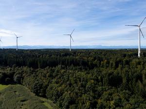 Windräder sind während der Vorstellung von einem Pilotprojekt für die Begrünung von Windenergiestandorten zu sehen. In dem Projekt an zwei Windenergieanlagen soll die Möglichkeit zur Begrünung und ökologischen Aufwertung von Windenergiestandorten im Wald gezeigt werden.
