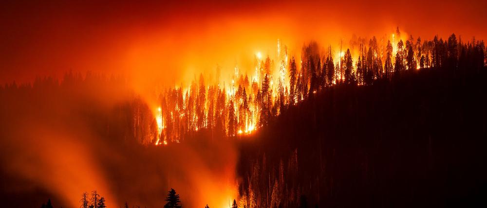 Das „Garnet Fire“ bedroht Riesenmammutbäume im Waldgebiet McKinley Grove.