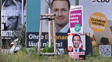 Im Potsdamer Stadtbild sind derzeit viele Wahlplakate zu sehen.