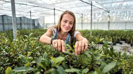 Matcha-Anbauerin: Ursprünglich kommt Kühnle aus dem Weinbau.
