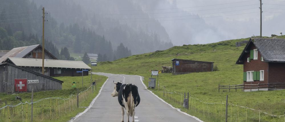 „Die Zahl der Deutschen mit Wohnsitz in der Schweiz steigt seit Jahren kontinuierlich“, berichtete die Statistikbehörde. Binnen zehn Jahren erhöhte sich die Zahl der Deutschen in der Schweiz um 10,7 Prozent. (Archivfoto)