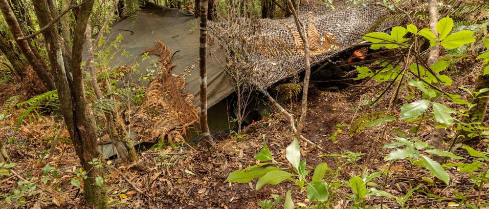 Das Hauptlager wurde in einem dichten Wald auf der Nordinsel entdeckt.