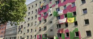 Das Haus in der Habersaathstraße 48 Berlin