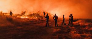 Feuerwehrleute im Einsatz bei einem Waldbrand in Spanien.