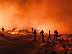 Feuerwehrleute im Einsatz bei einem Waldbrand in Spanien.