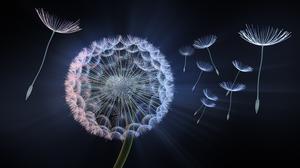 Die Samen einer Pusteblume schweben davon.