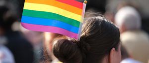 Am Wochenende finden in Frankfurt (Oder) und Eisenhüttenstadt CSD-Züge statt. (Symbolbild)