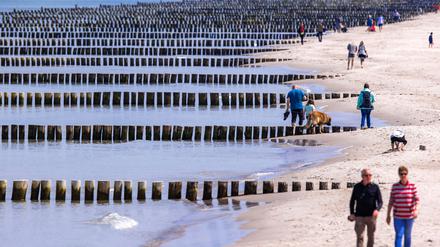 Das Wetter zeigt sich mit viel Sonnenschein und Temperaturen über 20 Grad von seiner schönen Seite und lockt Tagesgäste an die Ostseeküste von Mecklenburg-Vorpommern. 