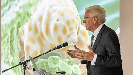 Winzig und doch bärenstark: Die neu entdeckte Bärtierchenart „Ramazzottius kretschmanni“.