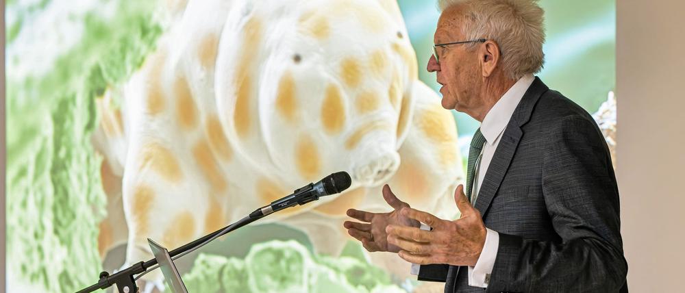 Winzig und doch bärenstark: Die neu entdeckte Bärtierchenart „Ramazzottius kretschmanni“.