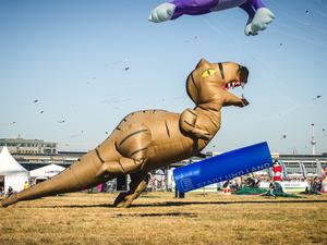 Stadt- und Landfest der Riesendrachen auf dem Tempelhofer Feld