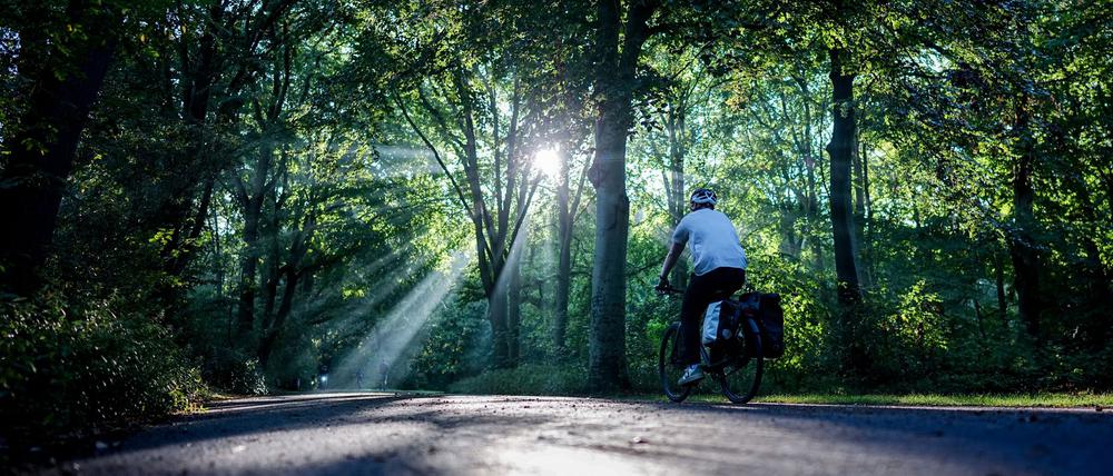 Am Wochenende zeigt sich die Sonne, aber es ziehen auch Wolken und Regen auf. (Archivbild)