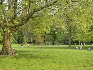 Blick auf den Volkspark Humboldthain (Symbolbild).