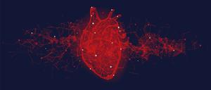 Auch das Herz braucht Streicheleinheiten (Symbolbild)