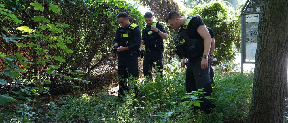 Die Leiche einer mutmaßlich getöteten Frau lag im Berliner Volkspark Humboldthain.