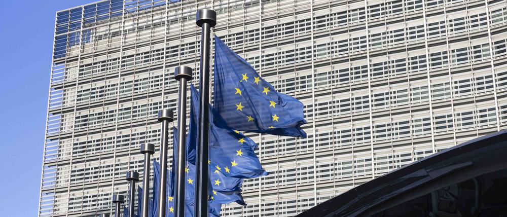 EU-Flaggen wehen an Fahnenmasten (Symbolbild).