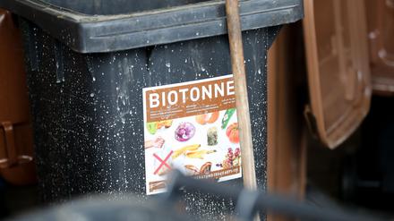 Was darf rein, was nicht? Auf keinen Fall Plastik, Glas, Alufolie und Konservendosen.