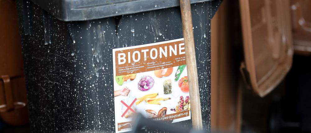 Was darf rein, was nicht? Auf keinen Fall Plastik, Glas, Alufolie und Konservendosen.
