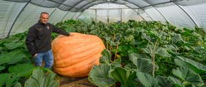 Kürbiszüchter Oliver Grafe neben seinem etwa 876 Kilogramm schweren Kürbis der Sorte Atlantic Giant.