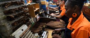 Entsteht manch eine kubanische Zigarre in Zwangsarbeit? (Symbolbild)