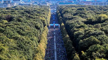 Beim Berlin-Marathon laufen von Jahr zu Jahr mehr Menschen mit. 
