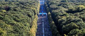 Beim Berlin-Marathon laufen von Jahr zu Jahr mehr Menschen mit.
