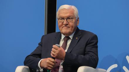 Der Bundespräsident Frank-Walter Steinmeier.